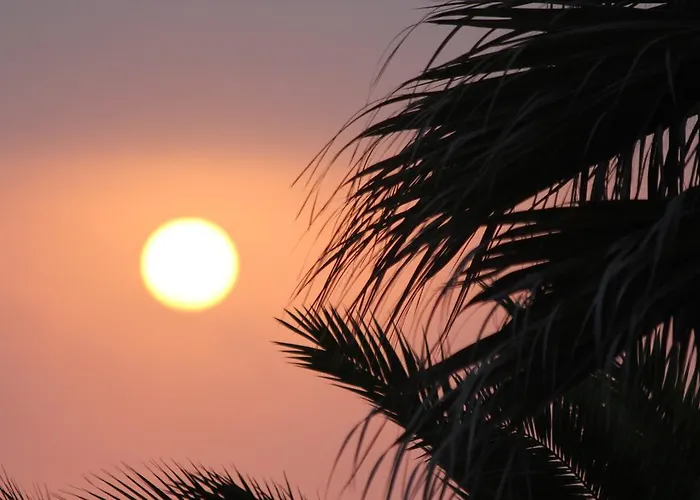 Chill In Surf House Vandrarhem Ericeira